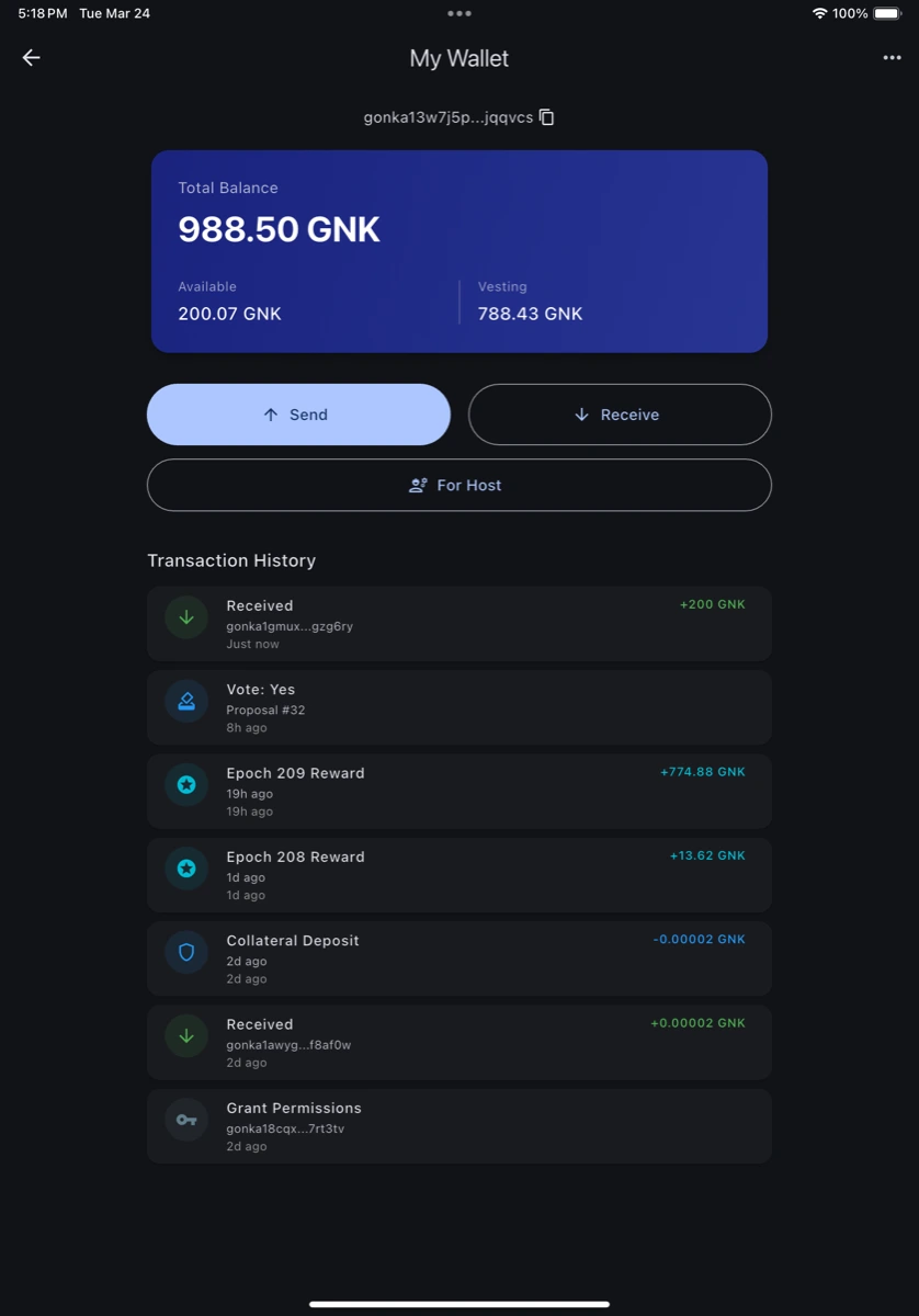 Gonka Wallet on iPad
